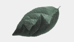 Read more about the article AI Training Leaves Earth: Inside the First Model Trained in Space