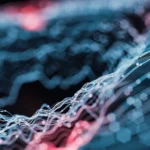 SEC targets AI‑washing: a clear warning for startup fundraising