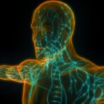 Inside the race to build an ‘immune system’ for AI—and why now