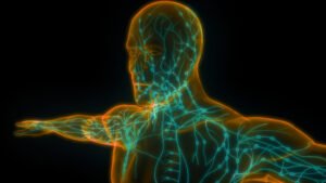 Read more about the article Inside the race to build an ‘immune system’ for AI—and why now